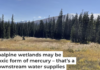 The drinking water used in many of Colorado’s cities passes through mountain wetlands. Eve-Lyn Hinckley